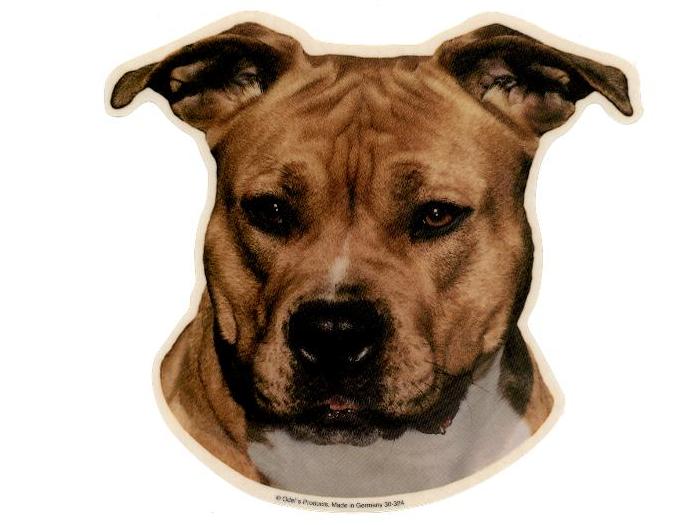 Amerikansk Staffords Terrier, gul, hv.Vælg: klistermærke, nøglering, broche, slipsenål, mm.