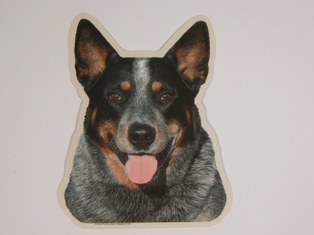 Australsk Cattle Dog. Vælg: klistermærke, nøglering, broche, slipsenål, mm.