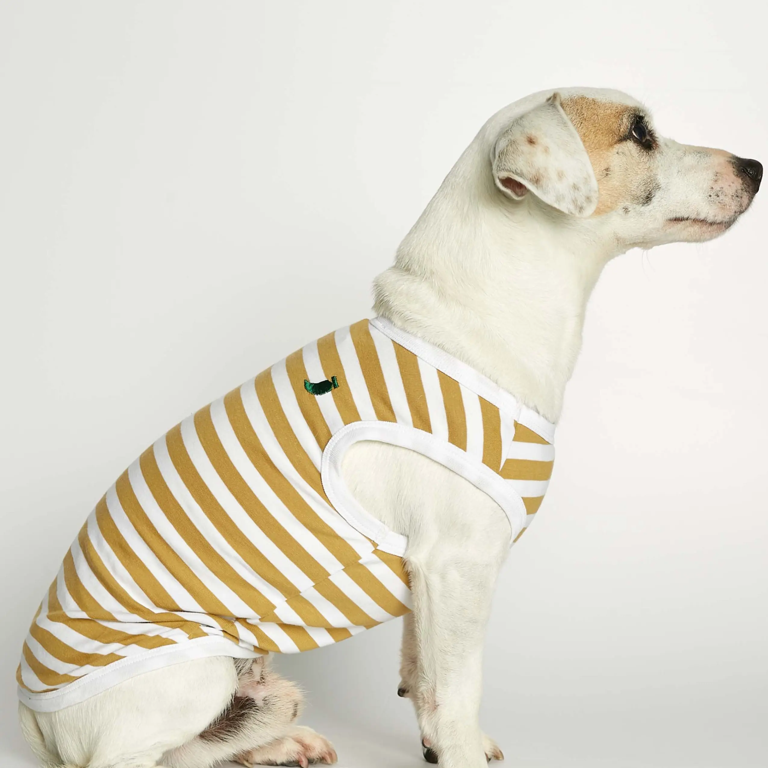 Daniel Bodysuit // Hundetrøje i økologisk bomuld (dijon) - XL