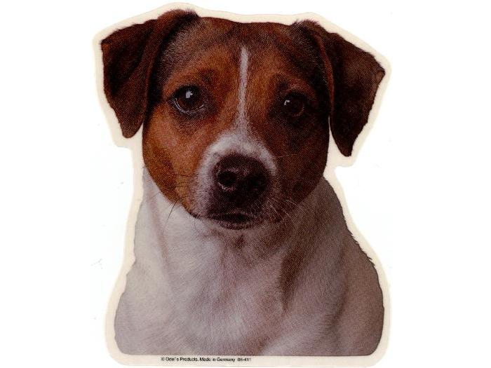 Dansk/Svensk Gårdhund, hv. Vælg: klistermærke, nøglering, mm.