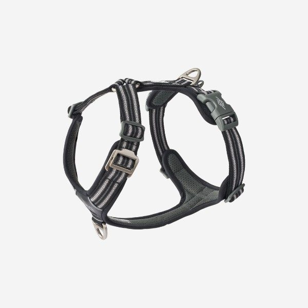 Dog Copenhagen Comfort Walk Air™ // Let og justerbar y-sele (sort) - XS