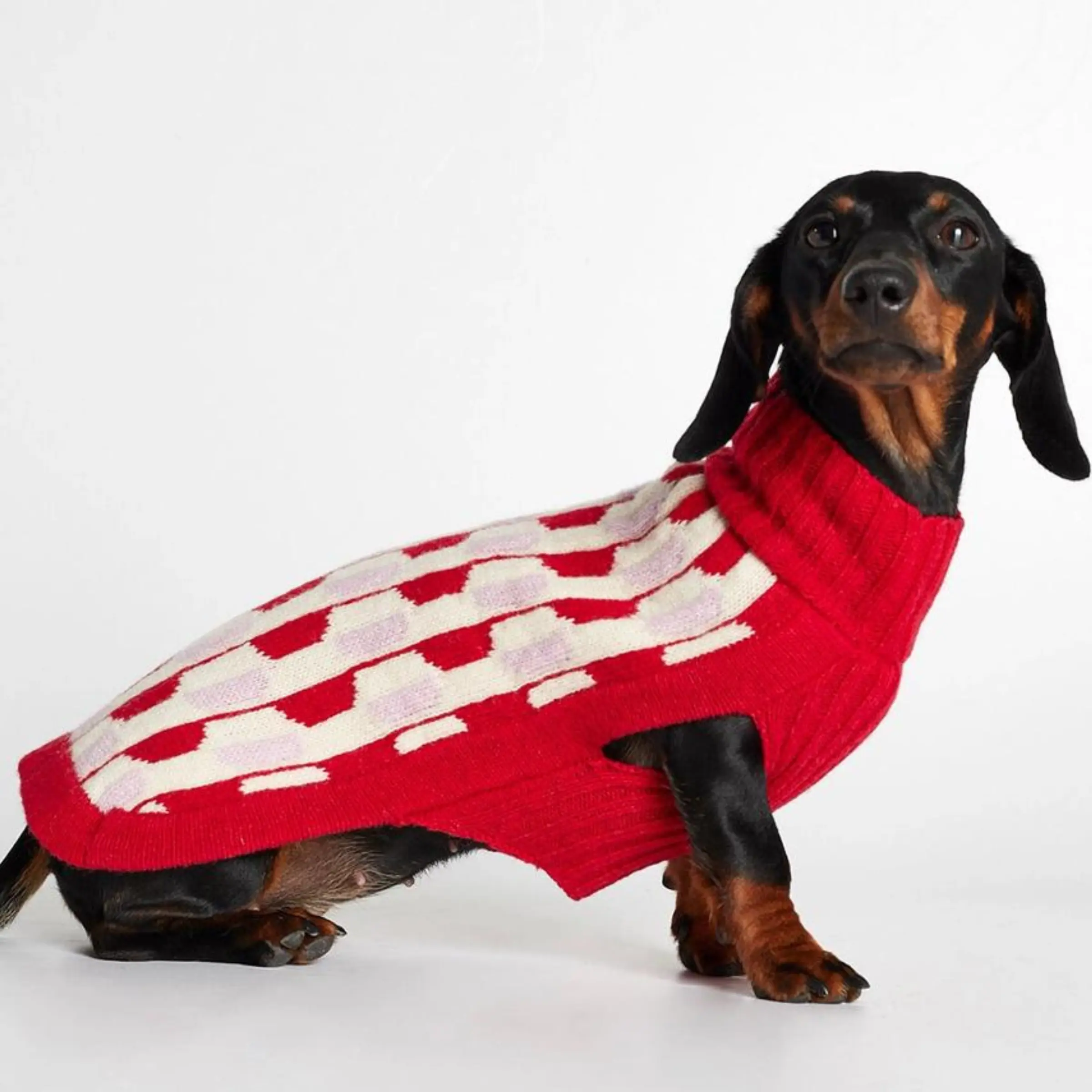 Donald Sweater // Hundesweater med adgang til sele (rød/lyserød) - S