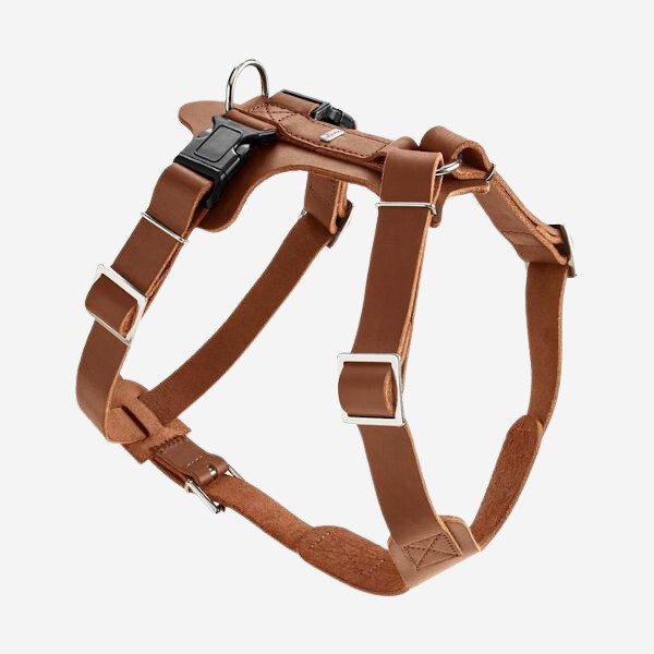 Harness Aalborg // Hunter y-sele i læder (cognac) - M/L1