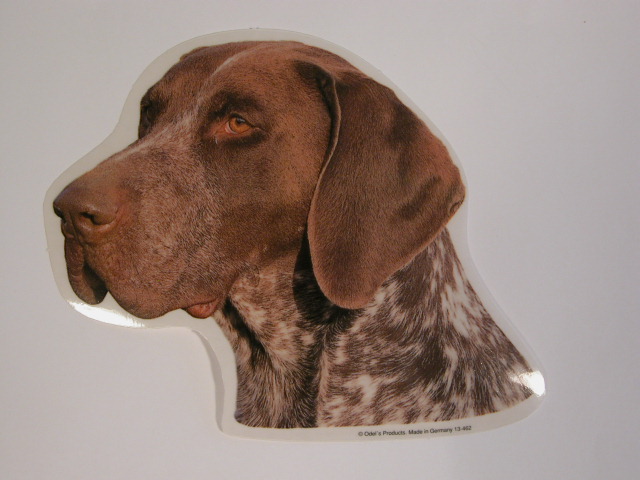 Hønsehund, korthåret, hv. Vælg: klistermærke, nøglering, broche, slipsenål, mm.