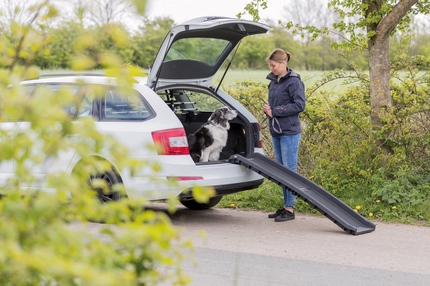 Hundens rampe til bilen. Petwalk foldbar bilrampe i plast