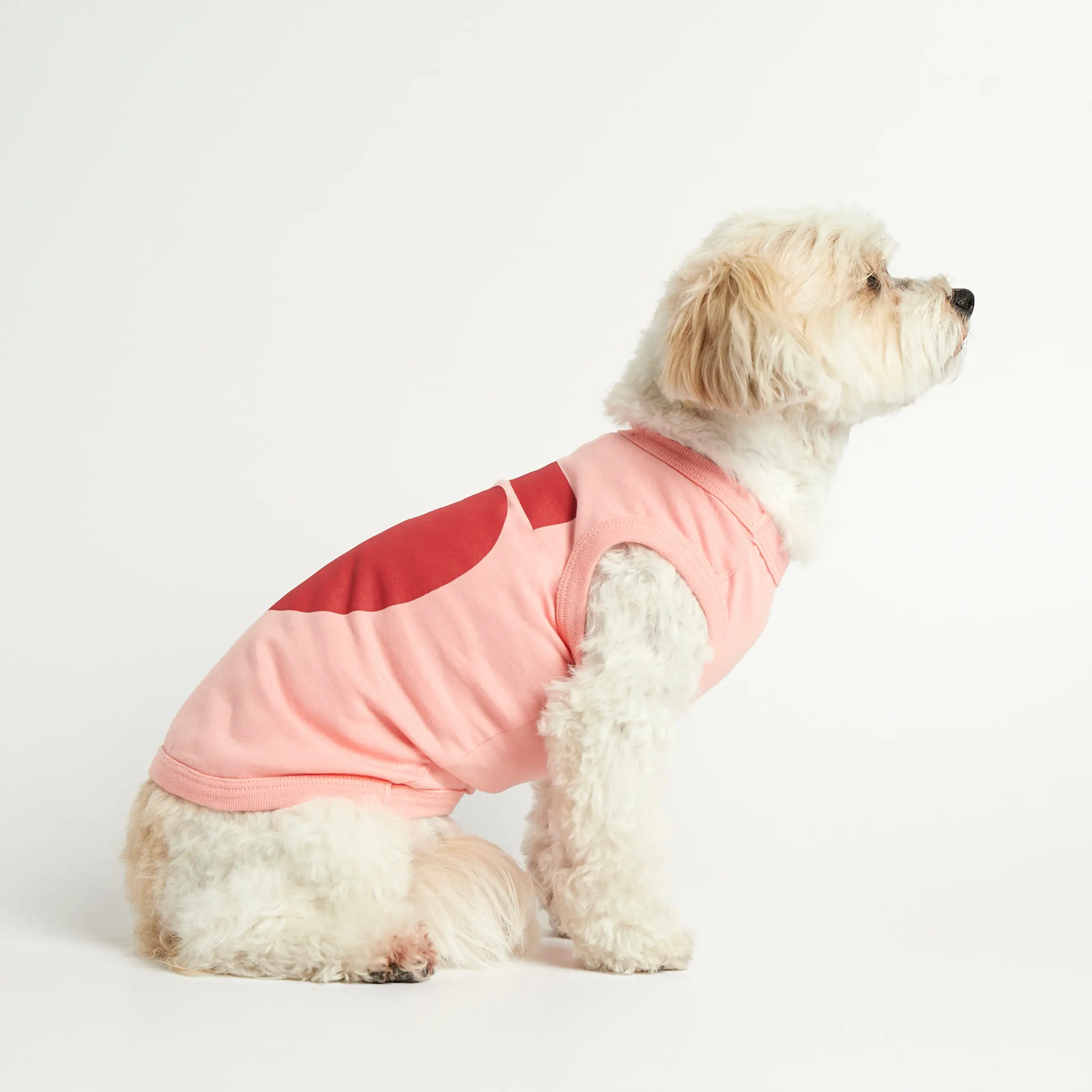 Imi Bodysuit // Hundetrøje i økologisk bomuld (pink) - XXL