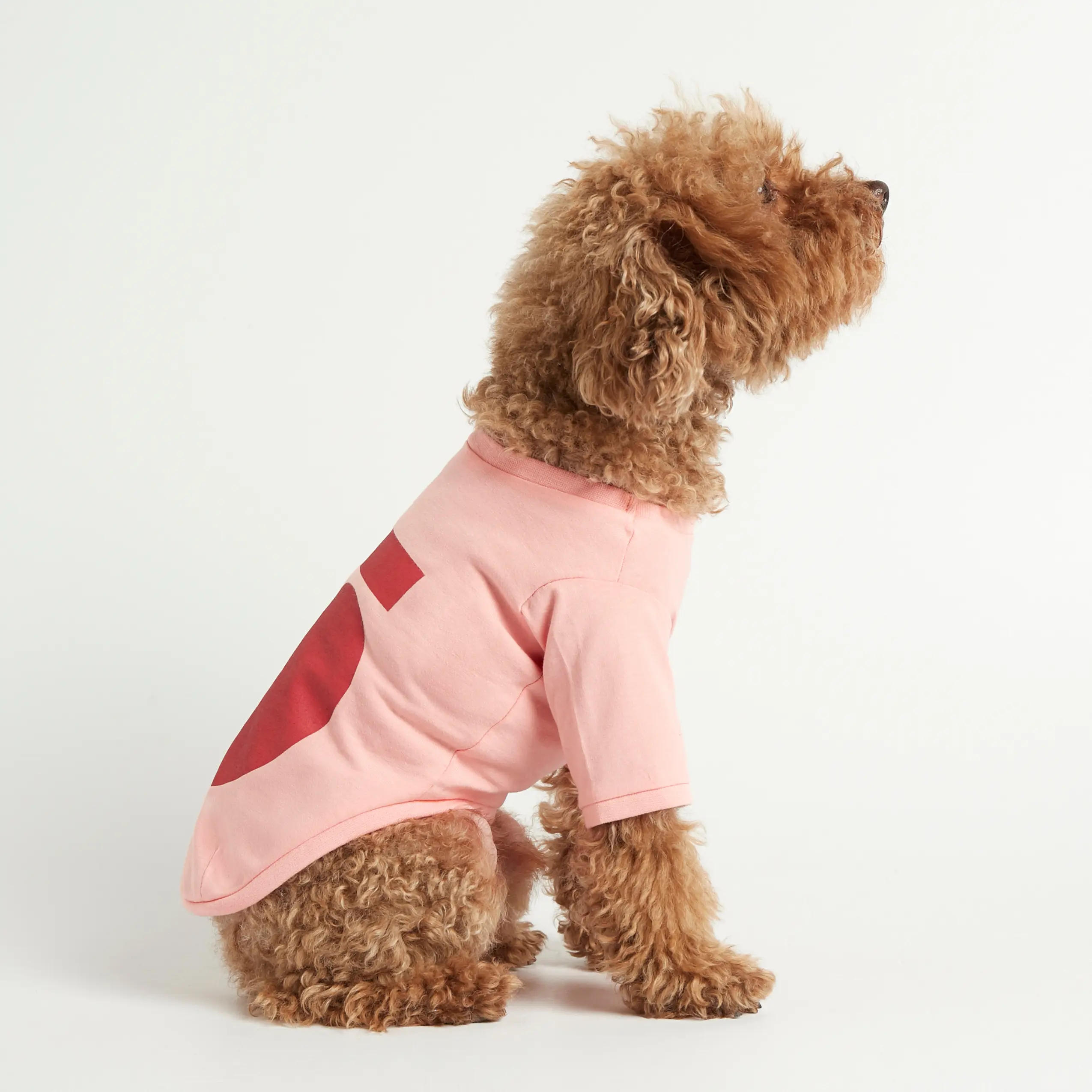 Imi T-shirt // Hundetrøje med ærmer i økologisk bomuld (pink) - XL