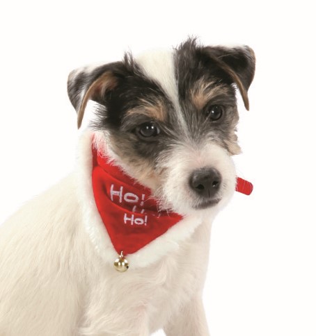 Jule-bandana Ho! Ho! Ho!