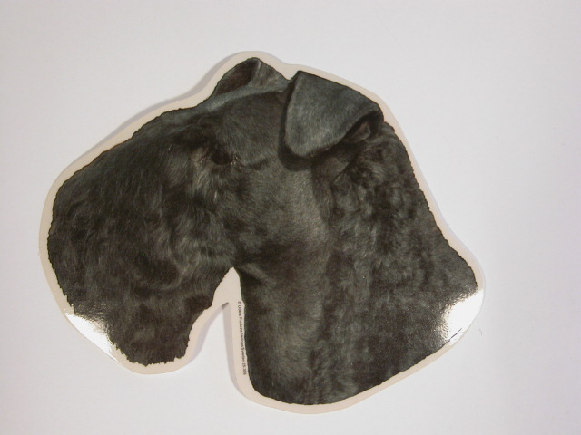 Kerry Blue Terrier, hv. Vælg: klistermærke, nøglering, broche, slipsenål, mm.