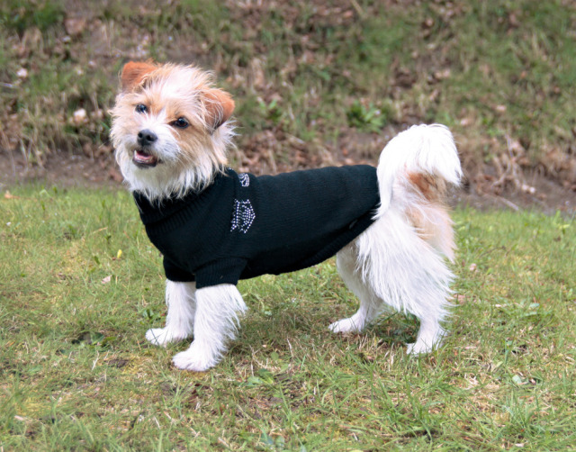 Kingston Pullover m. lille ærme ved forben