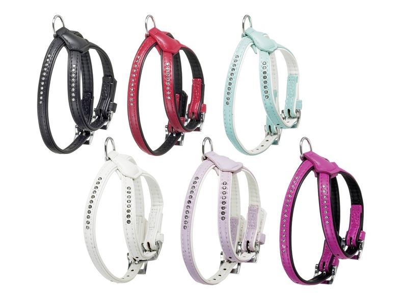 New Fashion. Hundesele med diamanter.