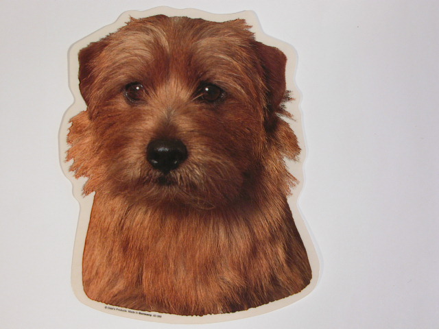 Norfolk Terrier, hv. Vælg: klistermærke, nøglering, broche, slipsenål, mm