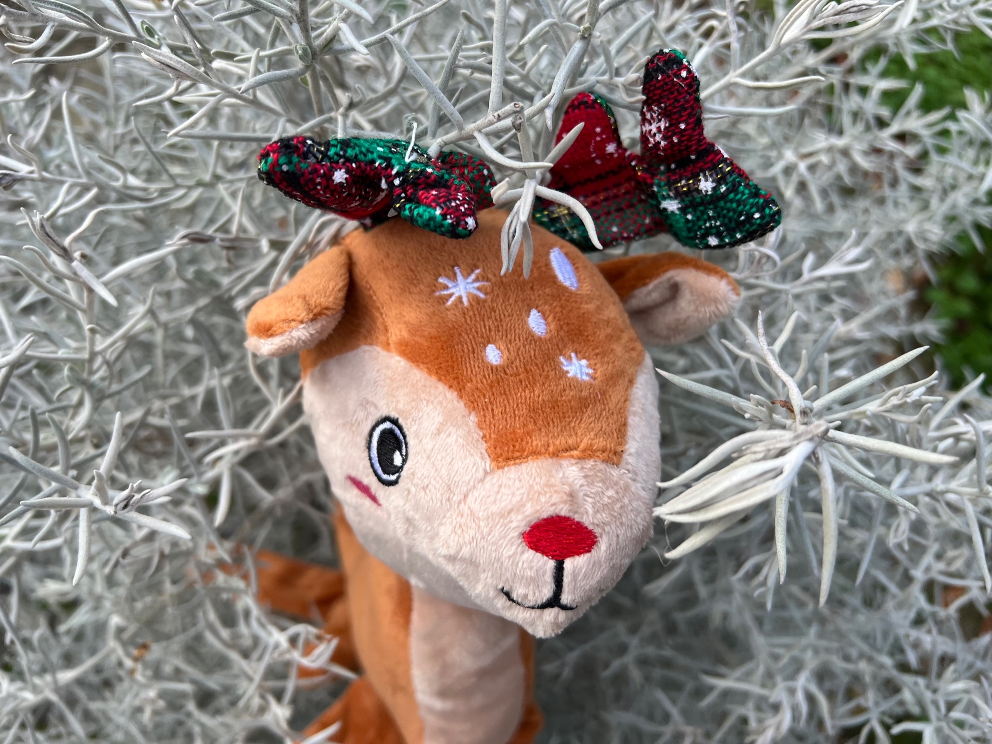 OH Deer. Rensdyr, m. piv.