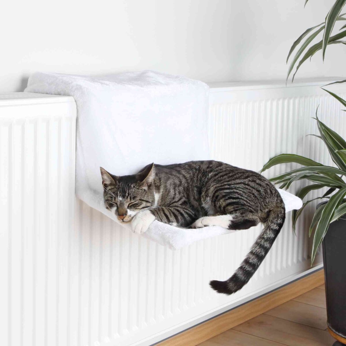 Radiatorseng de Luxe til kat.
