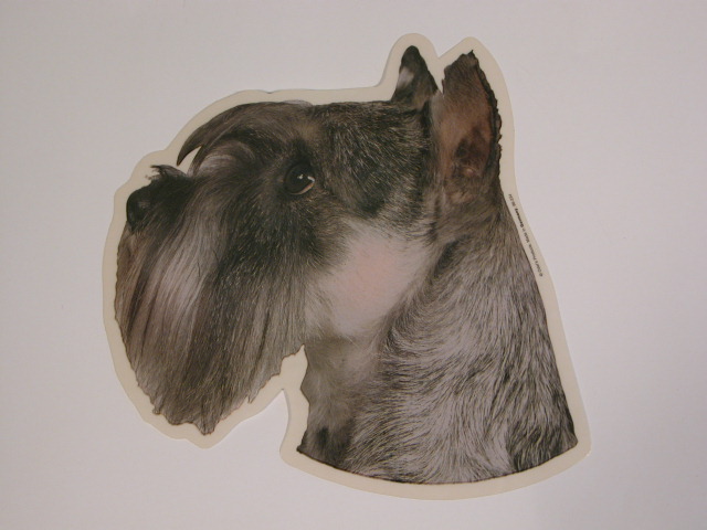 Schnauzer, grå, hv. Vælg: klistermærke, nøglering, mm