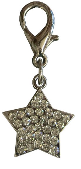 Vedhæng, Diamant-Stjerne i sølv-look.