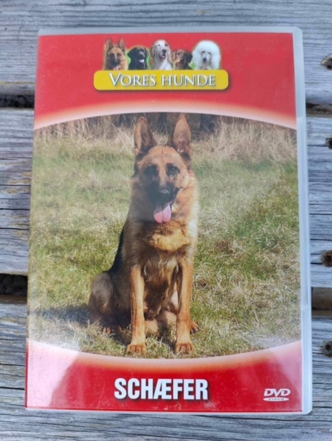 Vores hunde - Schæfer