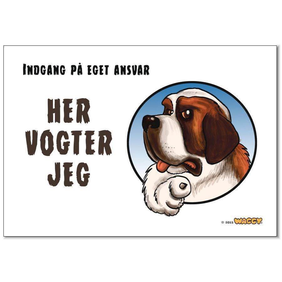 Waggy Her vogter jeg skilt. Sankt Bernhard.