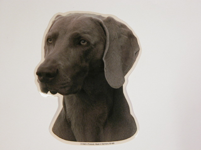 Weimaraner. Vælg: klistermærke, nøglering, broche, slipsenål, mm